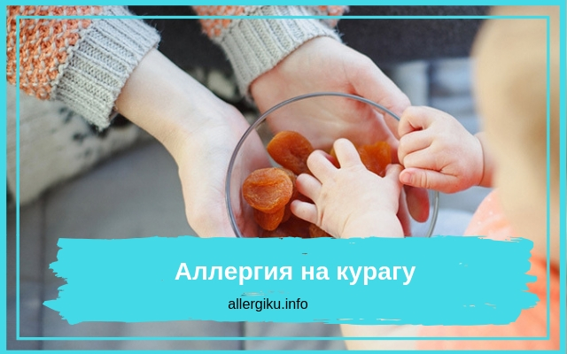 Аллергия на курагу