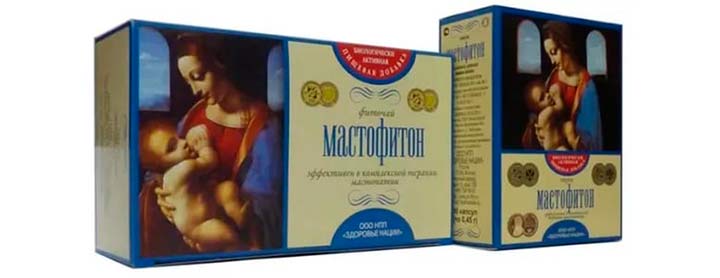 чай мастофитон