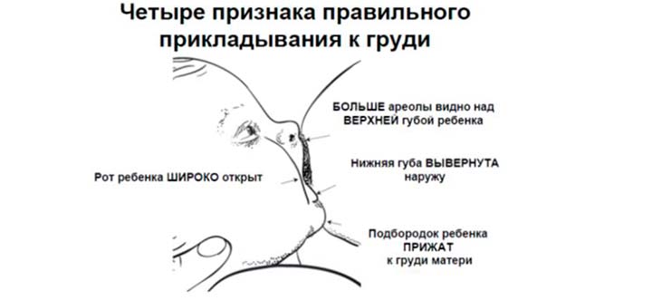 Правила кормления для стимулирования лактации правильное прикладывание ребенка к груди