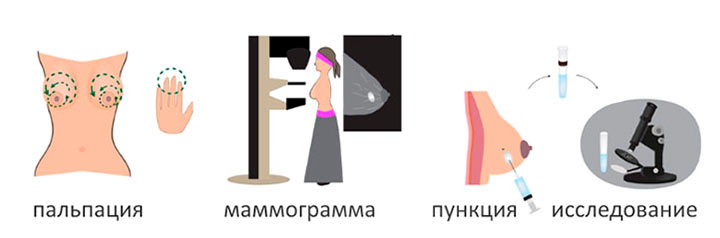 Особенности и способы диагностирования диагностика молочных желез