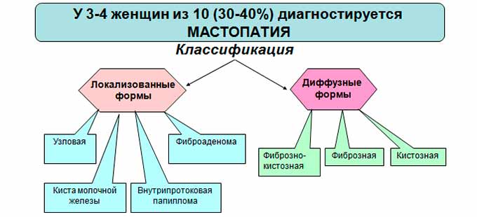 Виды патологии Классификация форм мастопатии