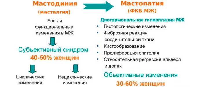 Пути развития масталгии