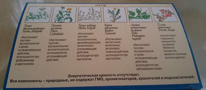 Состав целебного сбора состав чая мастофитон