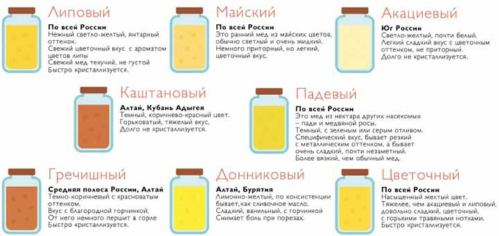 Самые полезные сорта меда при РМЖ сорта меда