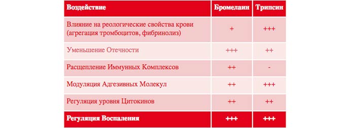 Особенности состава Действие Вобэнзима