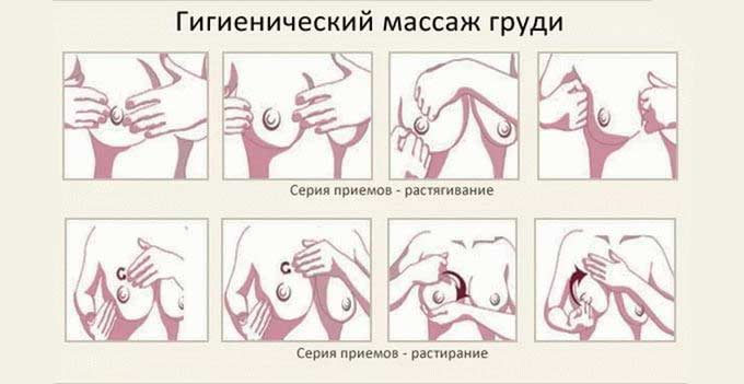Дополнительные виды массажных манипуляций Гигиенический массаж груди
