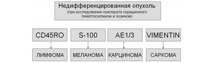 Результат ИГХ