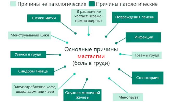 Причины развития болезненного состояния основные причины боли в груди