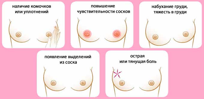 Симптоматическая картина заболевания симптомы мастодинии