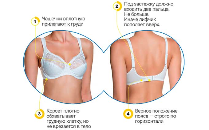 Правильно выбираем нижнее белье Как выбрать бюстгальтер
