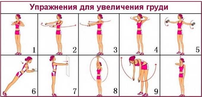 Альтернативные варианты коррекции объема груди Гимнастика для увеличения мышц груди у женщин