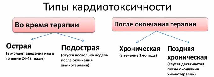 Кардиотоксичность химиотерапии Кардиотоксичность химиотерапии