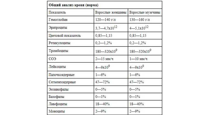 Общий анализ показатели общего анализа крови
