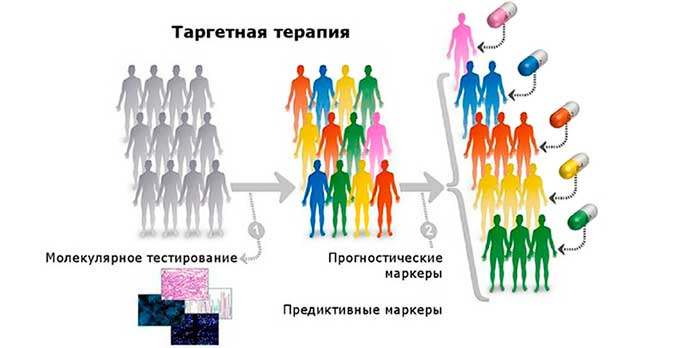 Терапия таргетными препаратами Таргетная терапия